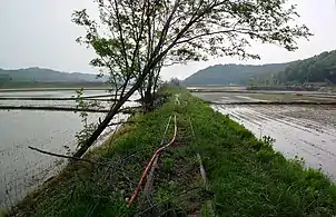 Between rice fields in Yacheon-ri, Hwaseong37°14′49″N 126°55′14″E / 37.24694°N 126.92056°E / 37.24694; 126.92056