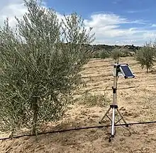 A protype of a satellite on a tripod in the middle of the desert getting signal from space.