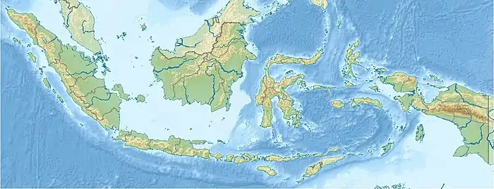 Lubang Jeriji Saleh cave